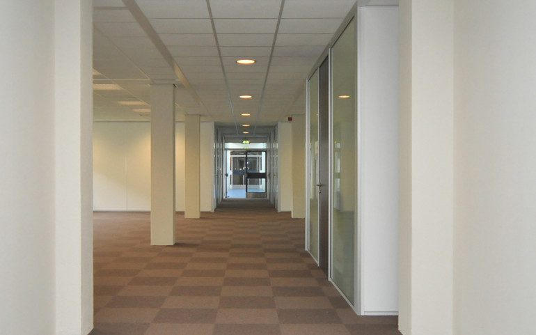 9-770x481